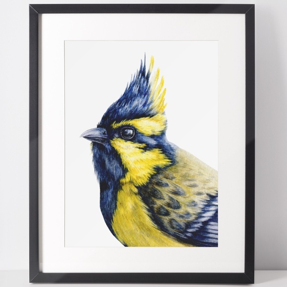 Watercolor Wall Art Himalayan Tit Bird Print Poster Unframed - Picture 2 of 9